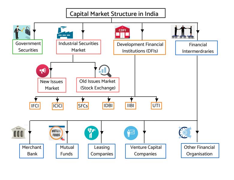 Market Participants - Capital market Structure in India